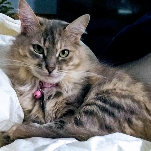 Meet your Posher, Susan - Picture 3 of 3